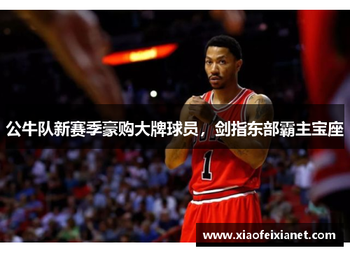 公牛队新赛季豪购大牌球员，剑指东部霸主宝座