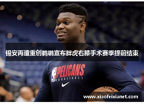 锡安再遭重创鹈鹕宣布胖虎右膝手术赛季提前结束