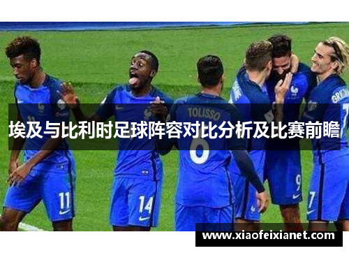 埃及与比利时足球阵容对比分析及比赛前瞻